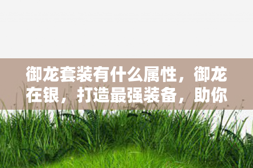 御龙套装有什么属性,御龙在银,打造最强装备,助你驰骋沙场 御龙套装有什么属性,御龙在银,打造最强装备,助你驰骋沙场