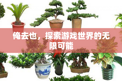 俺去也,探索游戏世界的无限可能 俺去也,探索游戏世界的无限可能