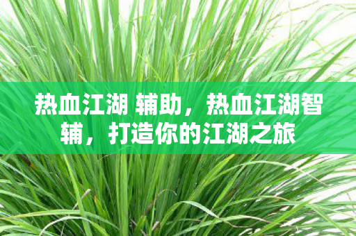 热血江湖 辅助,热血江湖智辅,打造你的江湖之旅 热血江湖 辅助,热血江湖智辅,打造你的江湖之旅