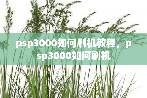 psp3000如何刷机教程,psp3000如何刷机 psp3000如何刷机教程,psp3000如何刷机