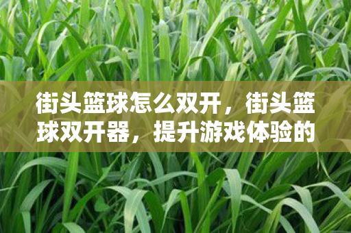 街头篮球怎么双开，街头篮球双开器，提升游戏体验的利器