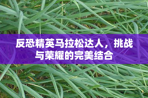 反恐精英马拉松达人,挑战与荣耀的完美结合 反恐精英马拉松达人,挑战与荣耀的完美结合