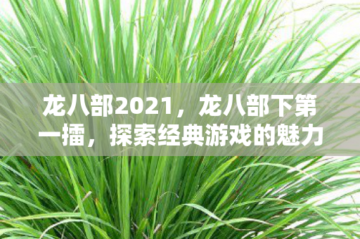 龙八部2021，龙八部下第一擂，探索经典游戏的魅力与传承