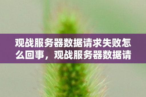 观战服务器数据请求失败怎么回事，观战服务器数据请求失败，深度解析背后的原因与解决方案