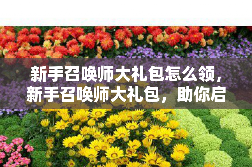 新手召唤师大礼包怎么领,新手召唤师大礼包,助你启程,畅游奇幻世界 新手召唤师大礼包怎么领,新手召唤师大礼包,助你启程,畅游奇幻世界