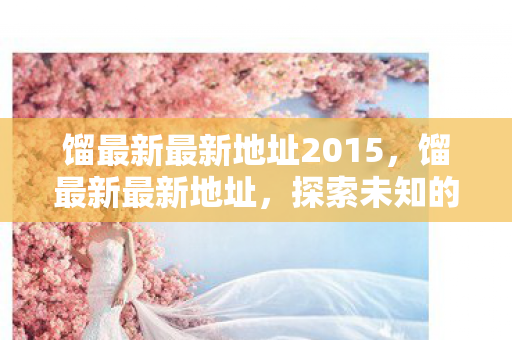 馏最新最新地址2015，馏最新最新地址，探索未知的数字世界