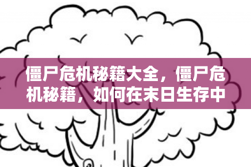 僵尸危机秘籍大全，僵尸危机秘籍，如何在末日生存中成为最强王者