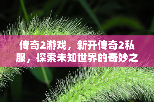 传奇2游戏，新开传奇2私服，探索未知世界的奇妙之旅