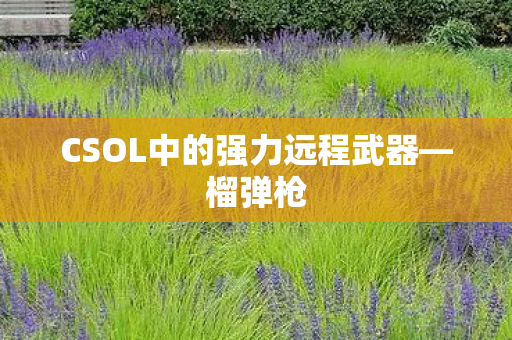 CSOL中的强力远程武器—榴弹枪