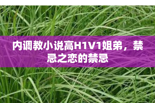 内调教小说高H1V1姐弟，禁忌之恋的禁忌
