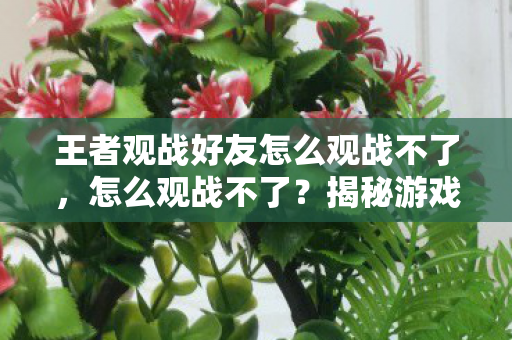 王者观战好友怎么观战不了，怎么观战不了？揭秘游戏观战功能的限制与解决方案