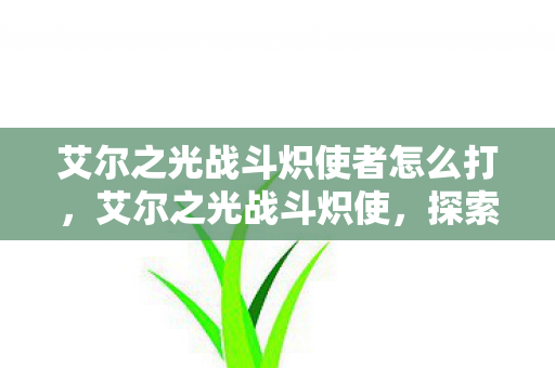 艾尔之光战斗炽使者怎么打，艾尔之光战斗炽使，探索未知的挑战与激情