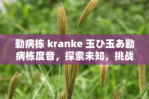 勤病栋 kranke 玉ひ玉あ勤病栋度音,探索未知,挑战自我 勤病栋 kranke 玉ひ玉あ勤病栋度音,探索未知,挑战自我