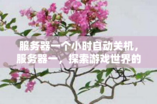 服务器一个小时自动关机，服务器一，探索游戏世界的无限可能
