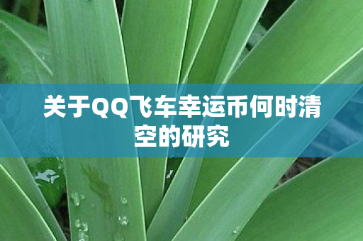 关于QQ飞车幸运币何时清空的研究 关于QQ飞车幸运币何时清空的研究