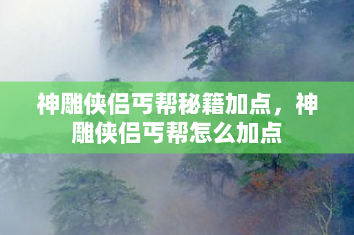 神雕侠侣丐帮秘籍加点,神雕侠侣丐帮怎么加点 神雕侠侣丐帮秘籍加点,神雕侠侣丐帮怎么加点