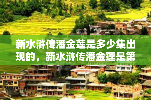新水浒传潘金莲是多少集出现的，新水浒传潘金莲是第20集