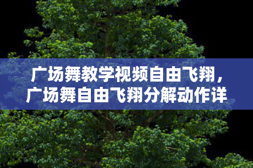广场舞教学视频自由飞翔，广场舞自由飞翔分解动作详解