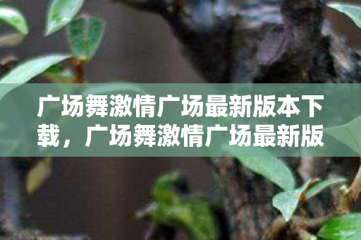 广场舞激情广场最新版本下载，广场舞激情广场最新版，舞动生活的快乐音符