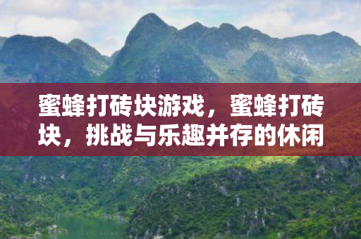 蜜蜂打砖块游戏，蜜蜂打砖块，挑战与乐趣并存的休闲游戏