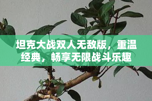 坦克大战双人无敌版,重温经典,畅享无限战斗乐趣 坦克大战双人无敌版,重温经典,畅享无限战斗乐趣