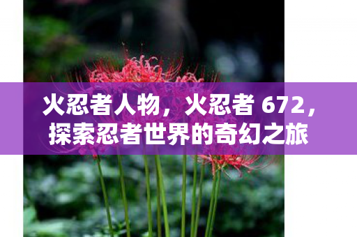 火忍者人物，火忍者 672，探索忍者世界的奇幻之旅
