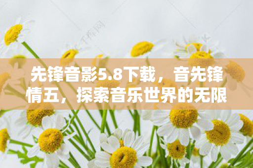 先锋音影5.8下载，音先锋情五，探索音乐世界的无限可能
