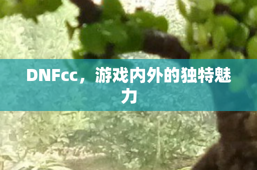 DNFcc,游戏内外的独特魅力 DNFcc,游戏内外的独特魅力