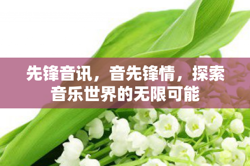 先锋音讯，音先锋情，探索音乐世界的无限可能