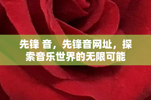 先锋 音，先锋音网址，探索音乐世界的无限可能