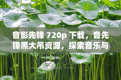 音影先锋 720p 下载，音先锋黑大吊资源，探索音乐与娱乐的无限可能