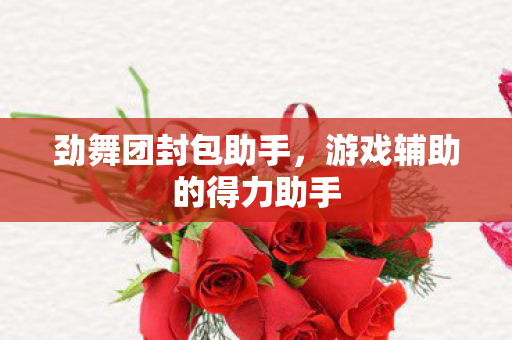 劲舞团封包助手,游戏辅助的得力助手 劲舞团封包助手,游戏辅助的得力助手