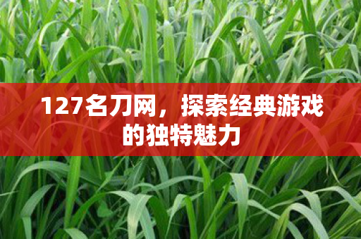 127名刀网,探索经典游戏的独特魅力 127名刀网,探索经典游戏的独特魅力