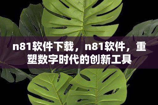 n81软件下载,n81软件,重塑数字时代的创新工具 n81软件下载,n81软件,重塑数字时代的创新工具