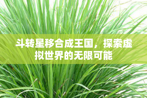 斗转星移合成王国,探索虚拟世界的无限可能 斗转星移合成王国,探索虚拟世界的无限可能