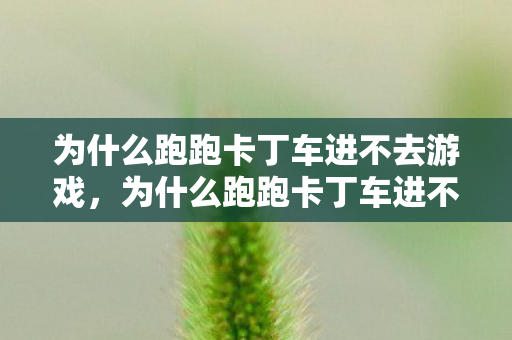 为什么跑跑卡丁车进不去游戏,为什么跑跑卡丁车进不去 为什么跑跑卡丁车进不去游戏,为什么跑跑卡丁车进不去
