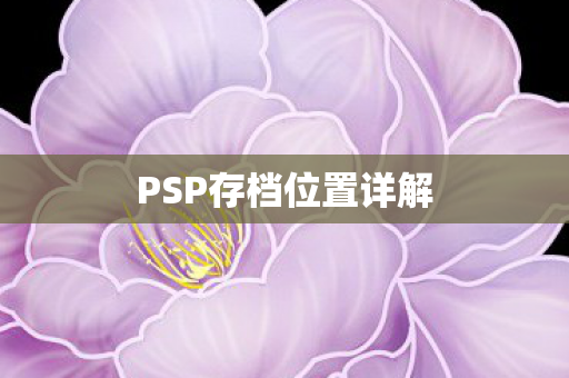 PSP存档位置详解 PSP存档位置详解