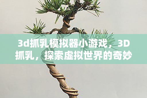 3d抓乳模拟器小游戏，3D抓乳，探索虚拟世界的奇妙之旅