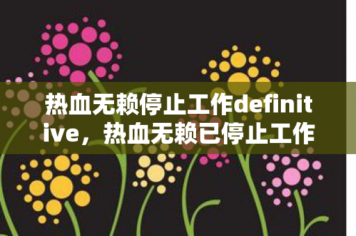 热血无赖停止工作definitive，热血无赖已停止工作，深度解析游戏停止运行的背后原因