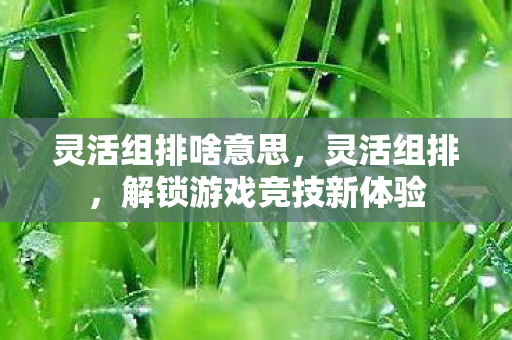 灵活组排啥意思，灵活组排，解锁游戏竞技新体验