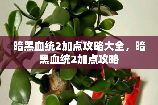 暗黑血统2加点攻略大全,暗黑血统2加点攻略 暗黑血统2加点攻略大全,暗黑血统2加点攻略
