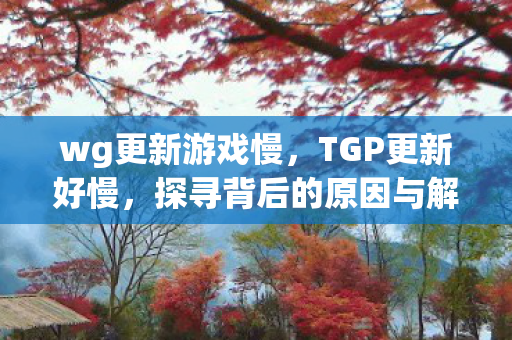 wg更新游戏慢,TGP更新好慢,探寻背后的原因与解决方案 wg更新游戏慢,TGP更新好慢,探寻背后的原因与解决方案