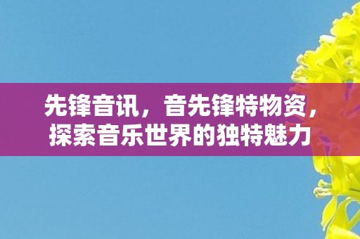 先锋音讯，音先锋特物资，探索音乐世界的独特魅力