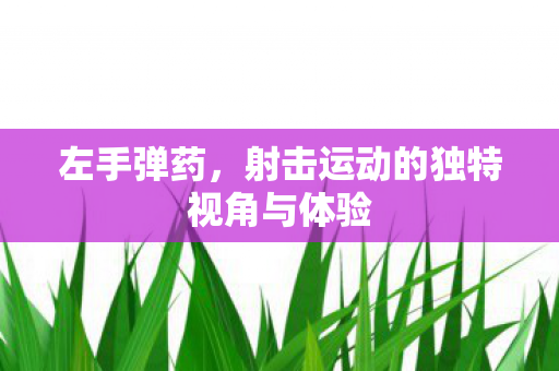 左手弹药,射击运动的独特视角与体验 左手弹药,射击运动的独特视角与体验