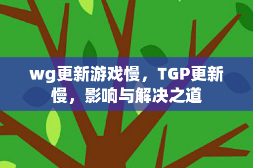 wg更新游戏慢，TGP更新慢，影响与解决之道