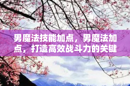 男魔法技能加点，男魔法加点，打造高效战斗力的关键
