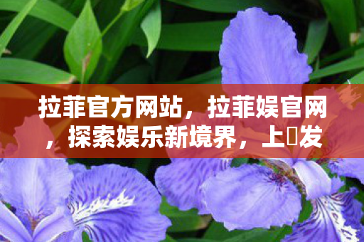 拉菲官方网站，拉菲娱官网，探索娱乐新境界，上浤发玩引领潮流