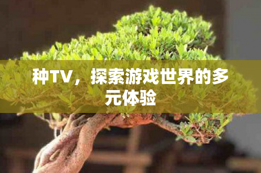 种TV,探索游戏世界的多元体验 种TV,探索游戏世界的多元体验