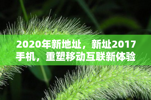 2020年新地址，新址2017手机，重塑移动互联新体验