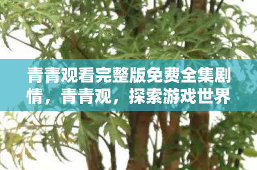 青青观看完整版免费全集剧情,青青观,探索游戏世界的多元体验 青青观看完整版免费全集剧情,青青观,探索游戏世界的多元体验
